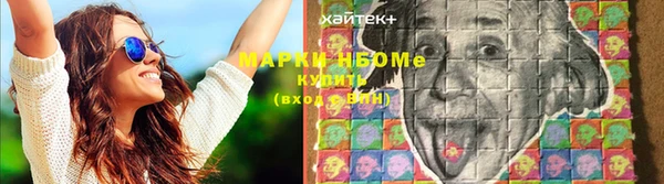 2c-b Горно-Алтайск