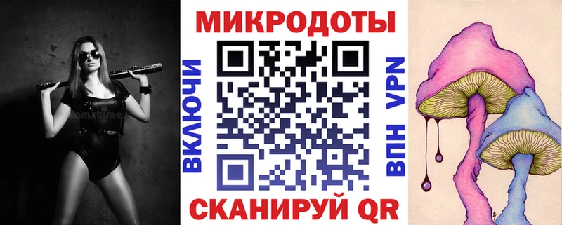 Галлюциногенные грибы Psilocybe  Купить закладки  Кувшиново 